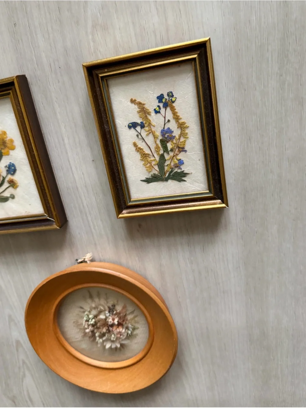 Vintage Wall Art Dried Flowers Round Frame Dome  Glass Handmade Australia